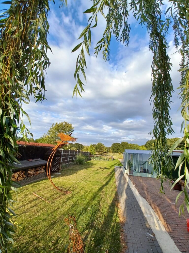 Willow trees and garden beside the cattery accommodation